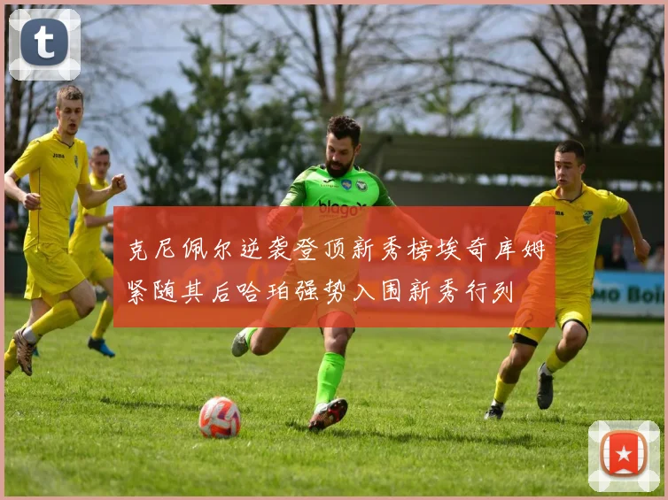 克尼佩尔逆袭登顶新秀榜埃奇库姆紧随其后哈珀强势入围新秀行列