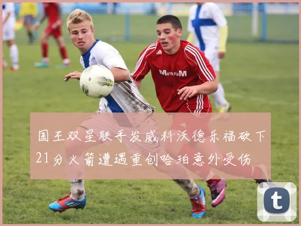 国王双星联手发威科沃德乐福砍下21分火箭遭遇重创哈珀意外受伤